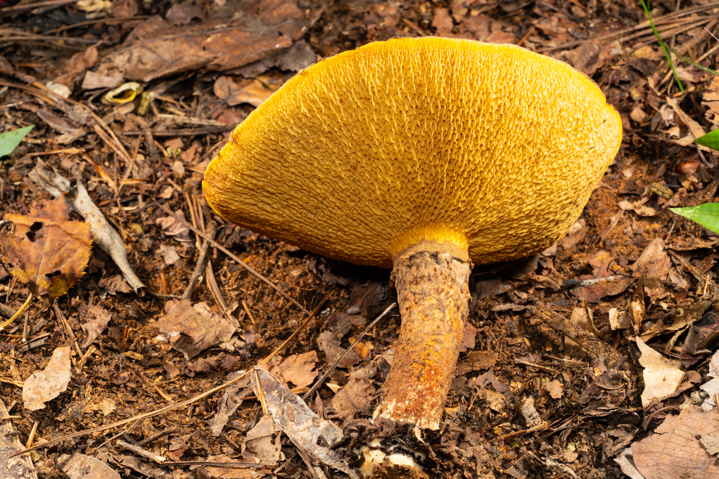 YDY00986.jpg
