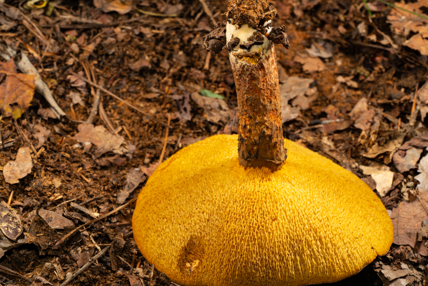 YDY00983.jpg