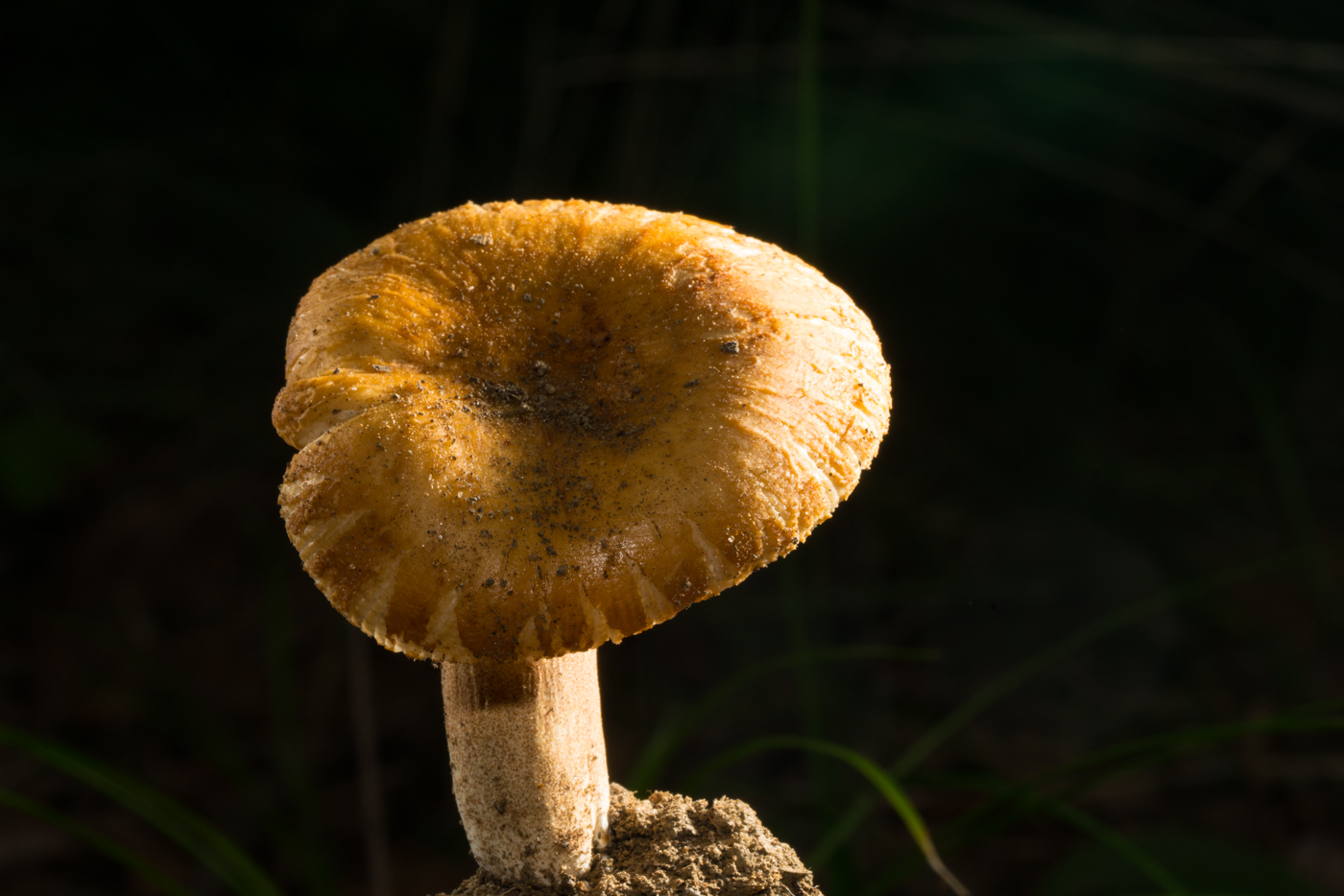 YDY09190.jpg