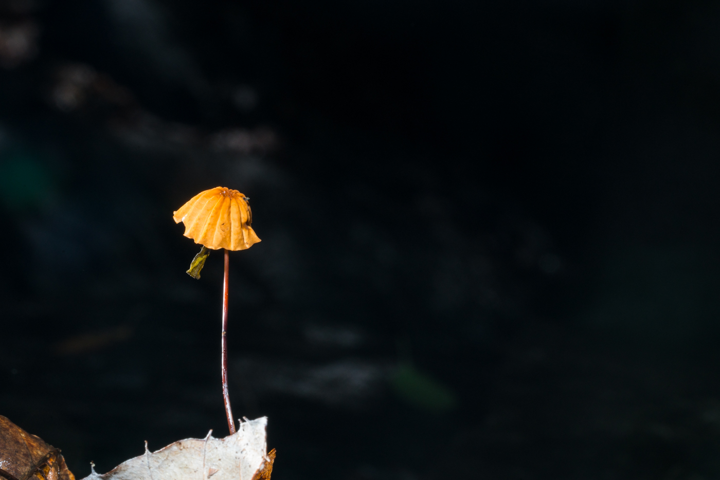 YDY03891.jpg