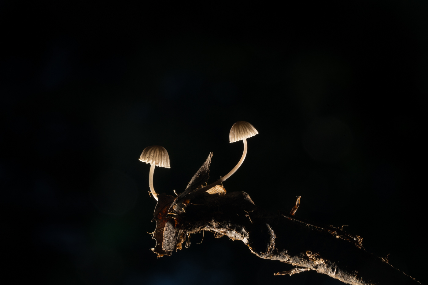 YDY08302.jpg