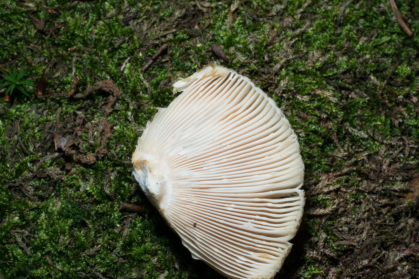 YDY04529.jpg