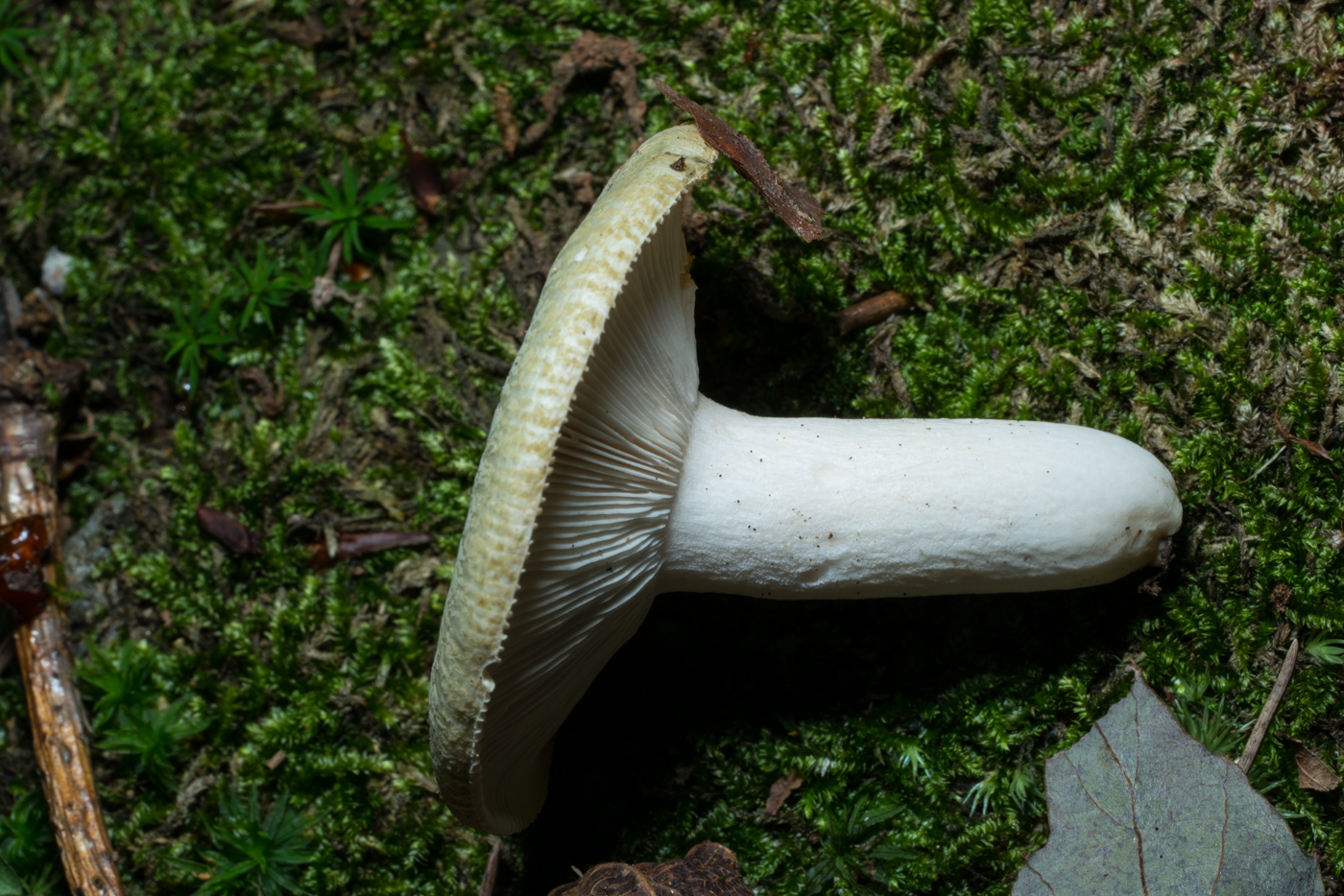 YDY04530.jpg