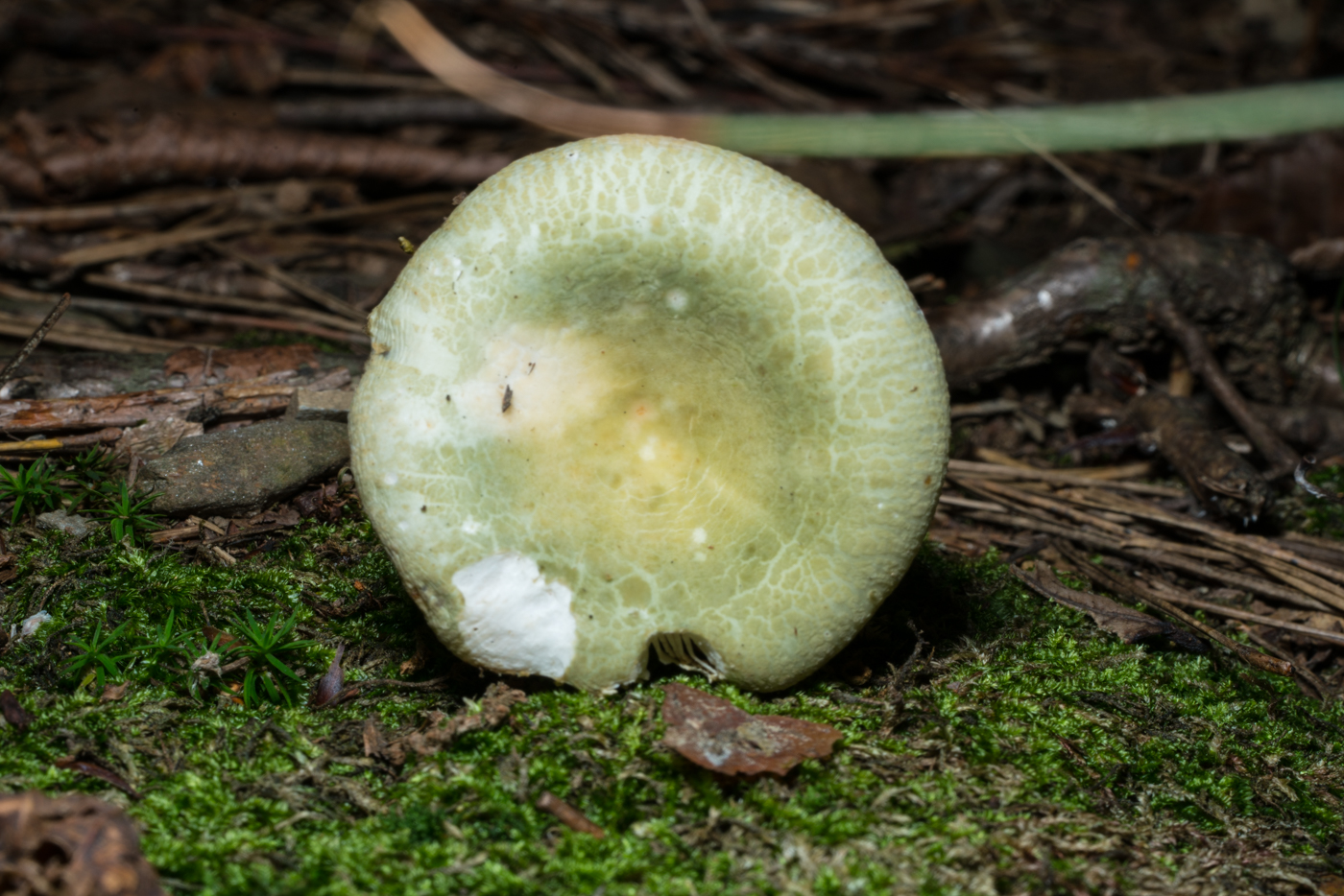 YDY04533.jpg