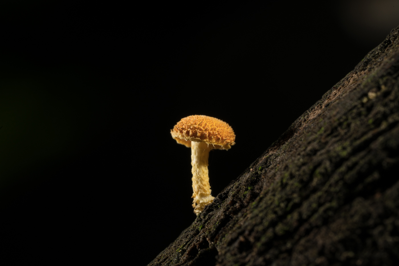 YDY08377.jpg