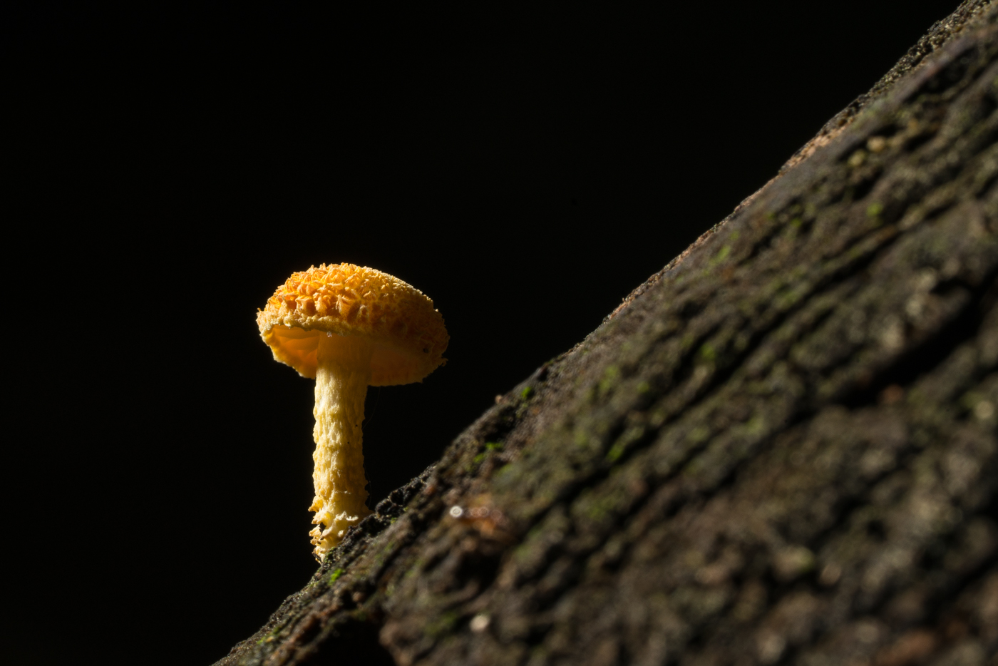 YDY08385.jpg
