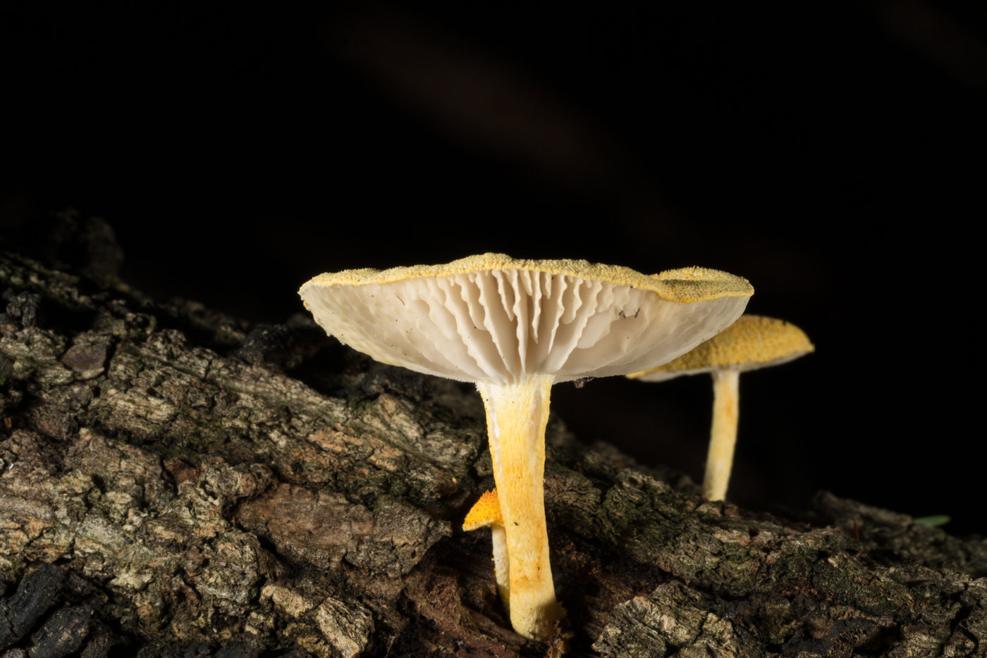 YDY08413.jpg