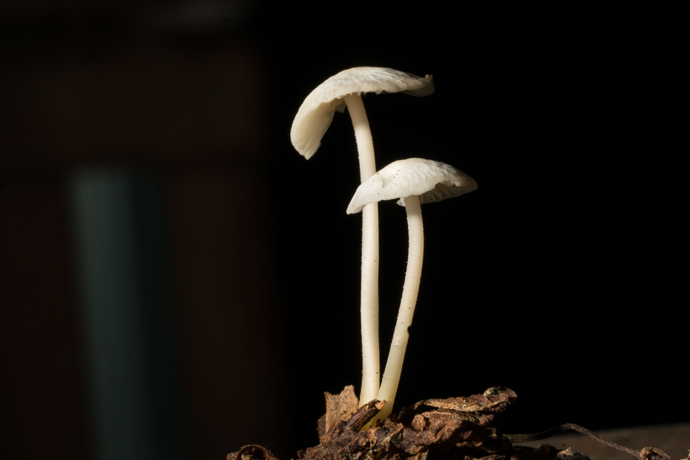 YDY08675.jpg