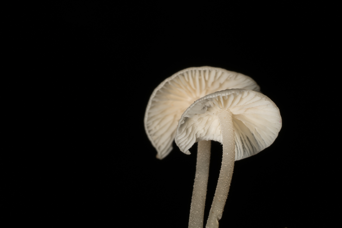 YDY08670.jpg