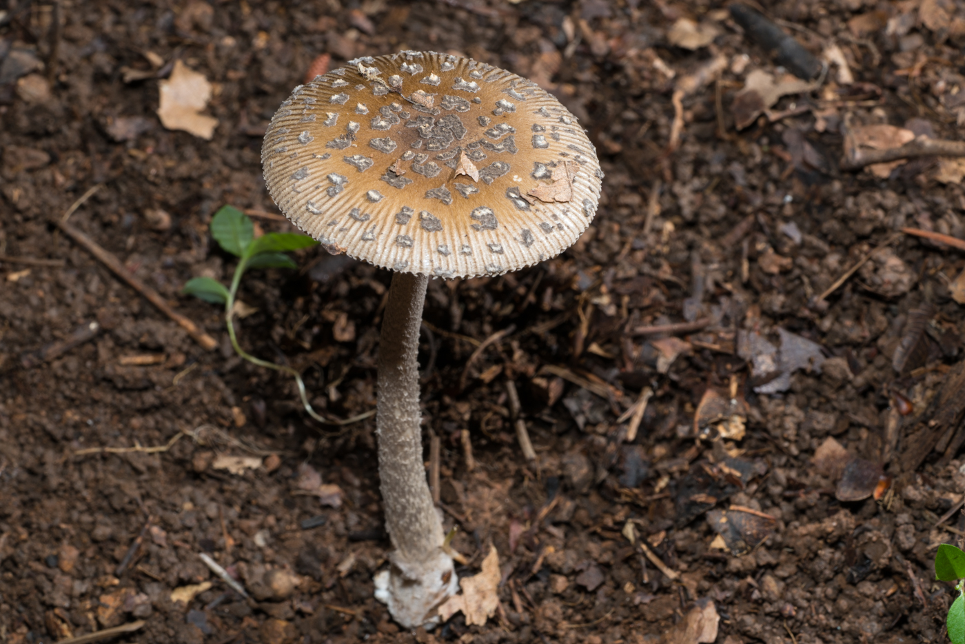 YDY05393.jpg