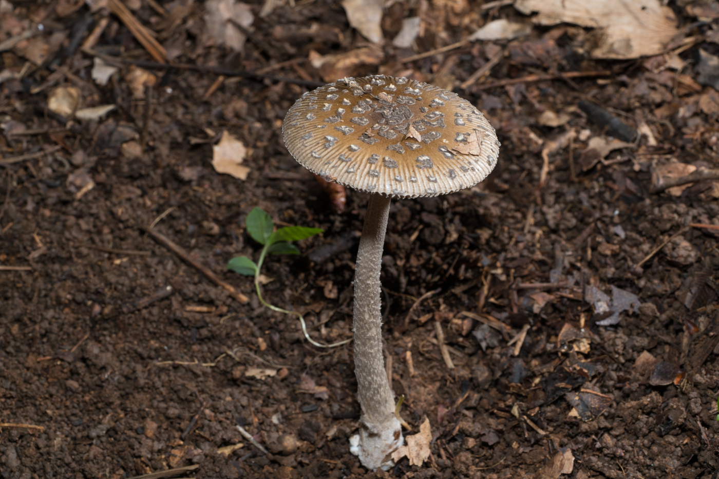 YDY05390.jpg