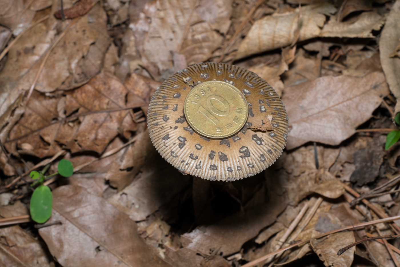 YDY05387.jpg
