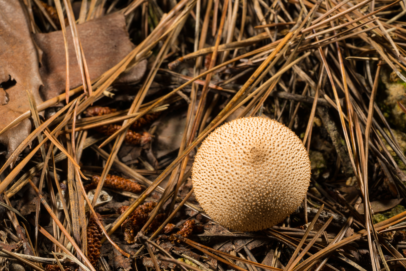 YDY08740.jpg