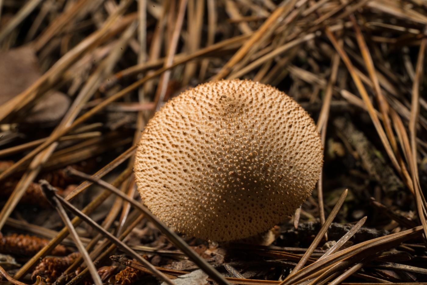 YDY08732.jpg