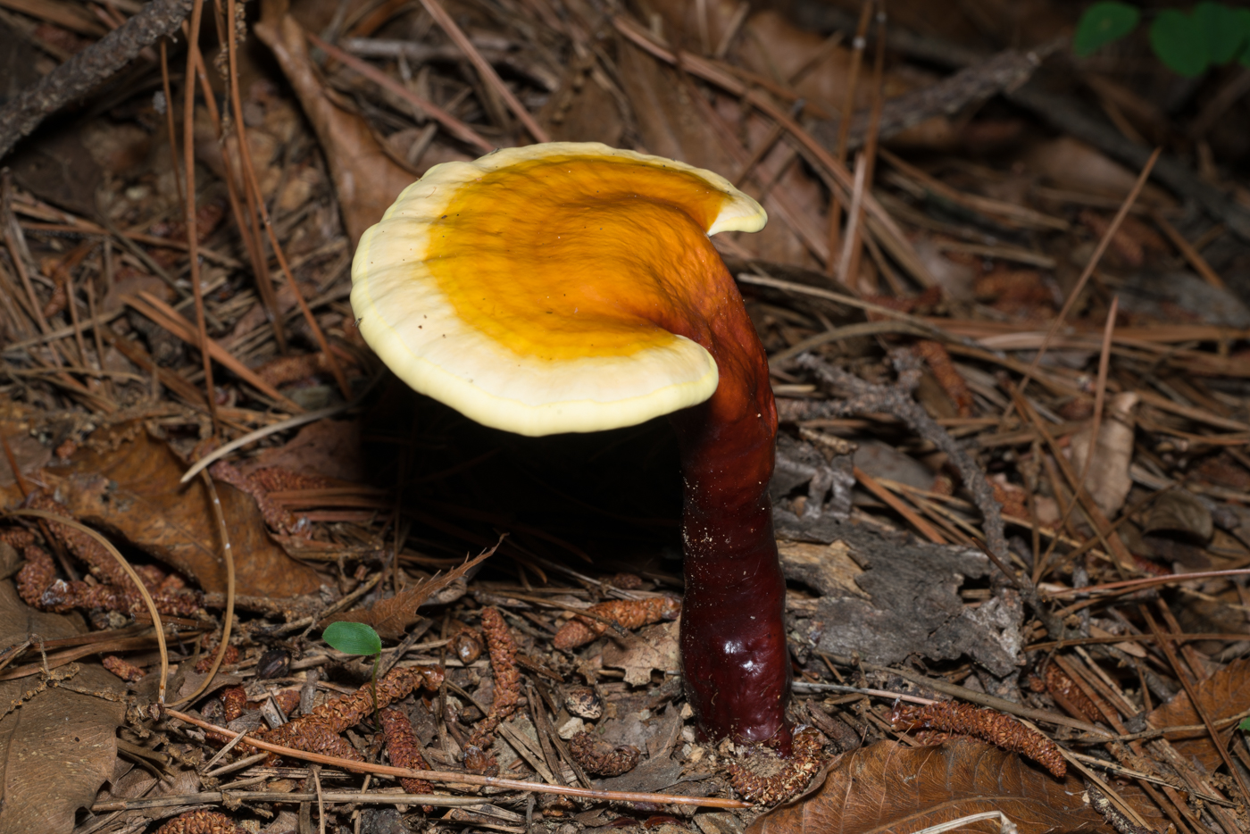 YDY05463.jpg
