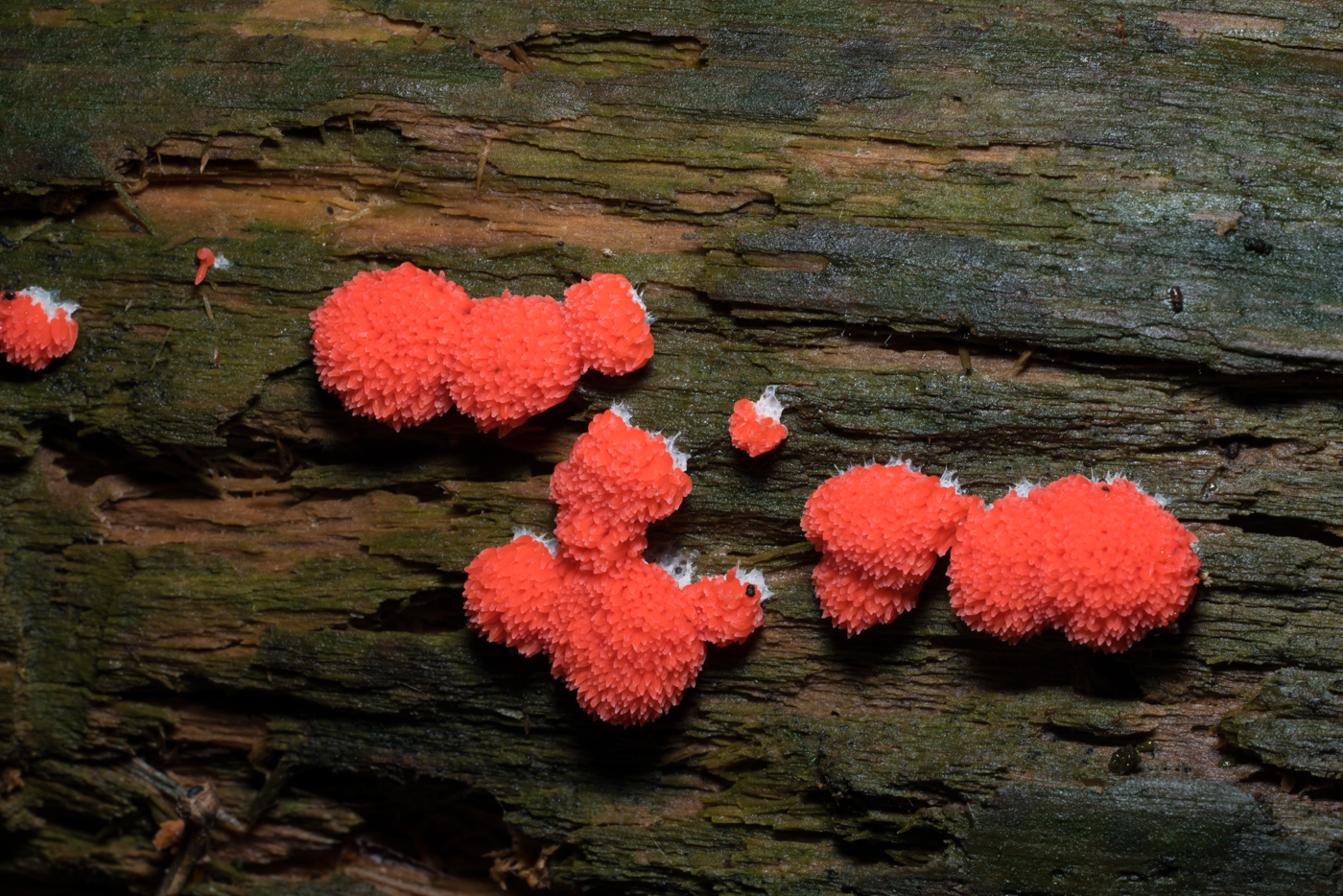 YDY05578.jpg