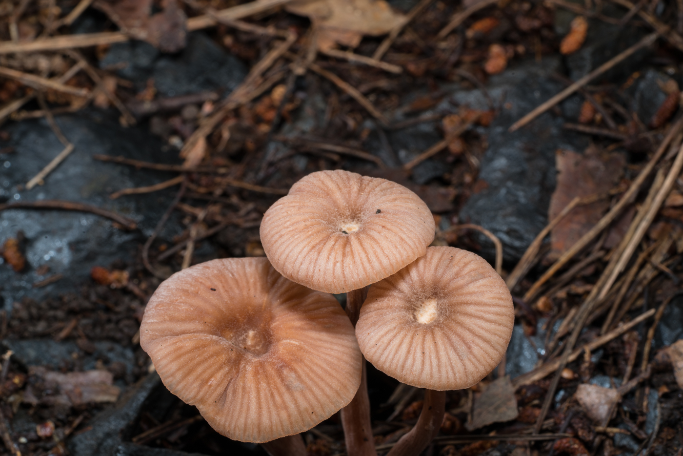 YDY05522.jpg