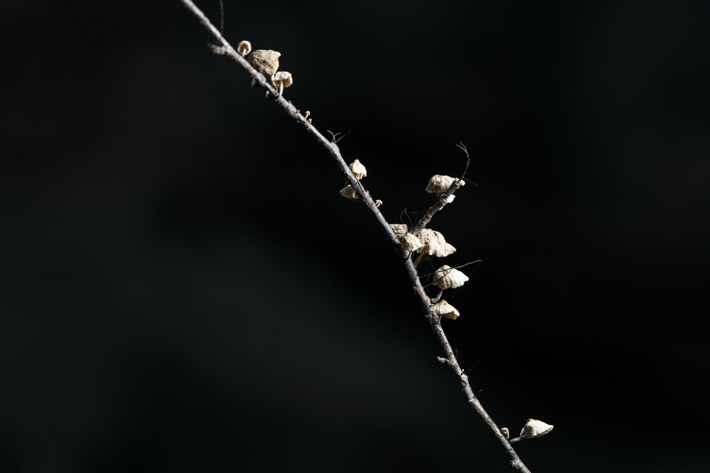 YDY01028.jpg