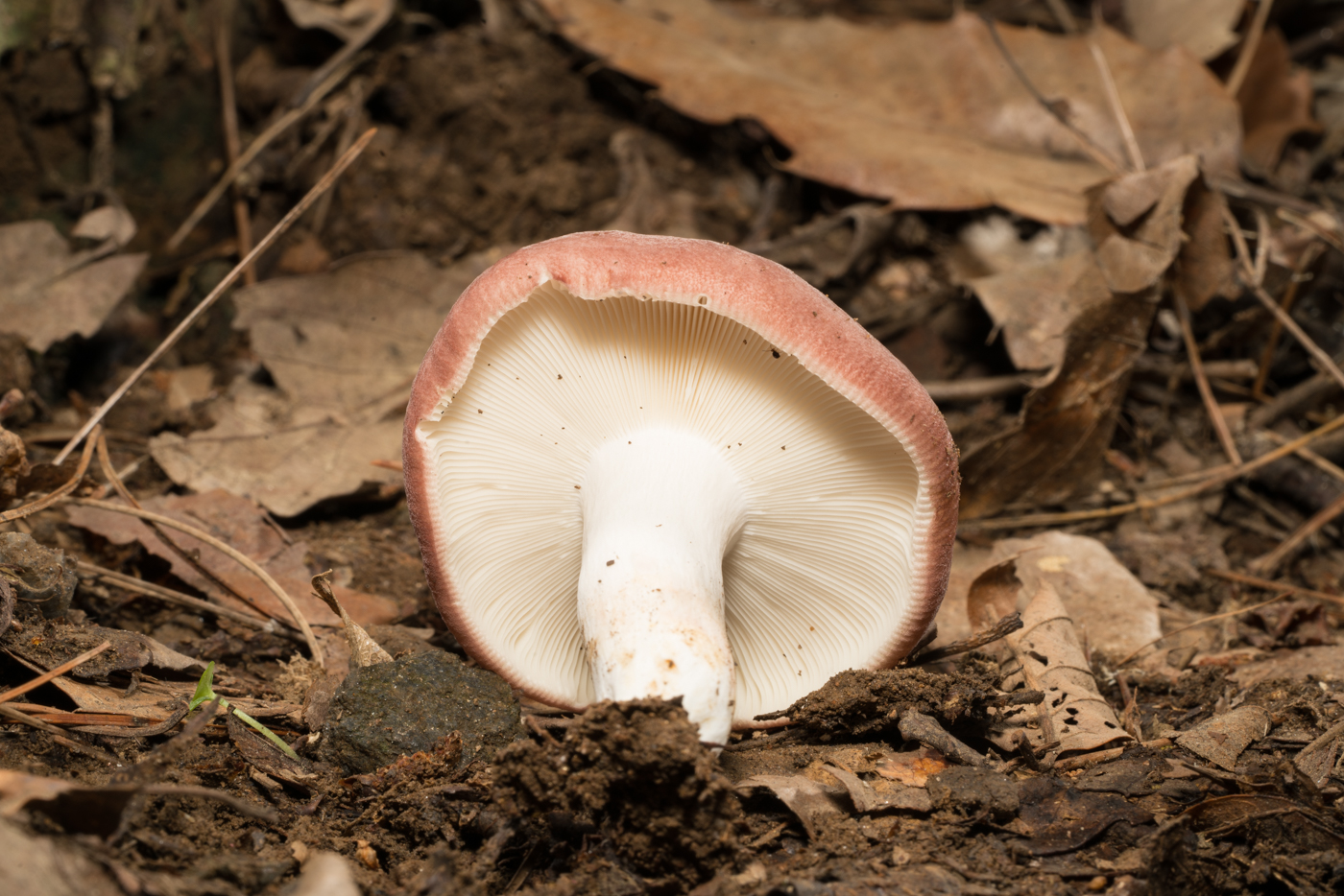 YDY08872.jpg