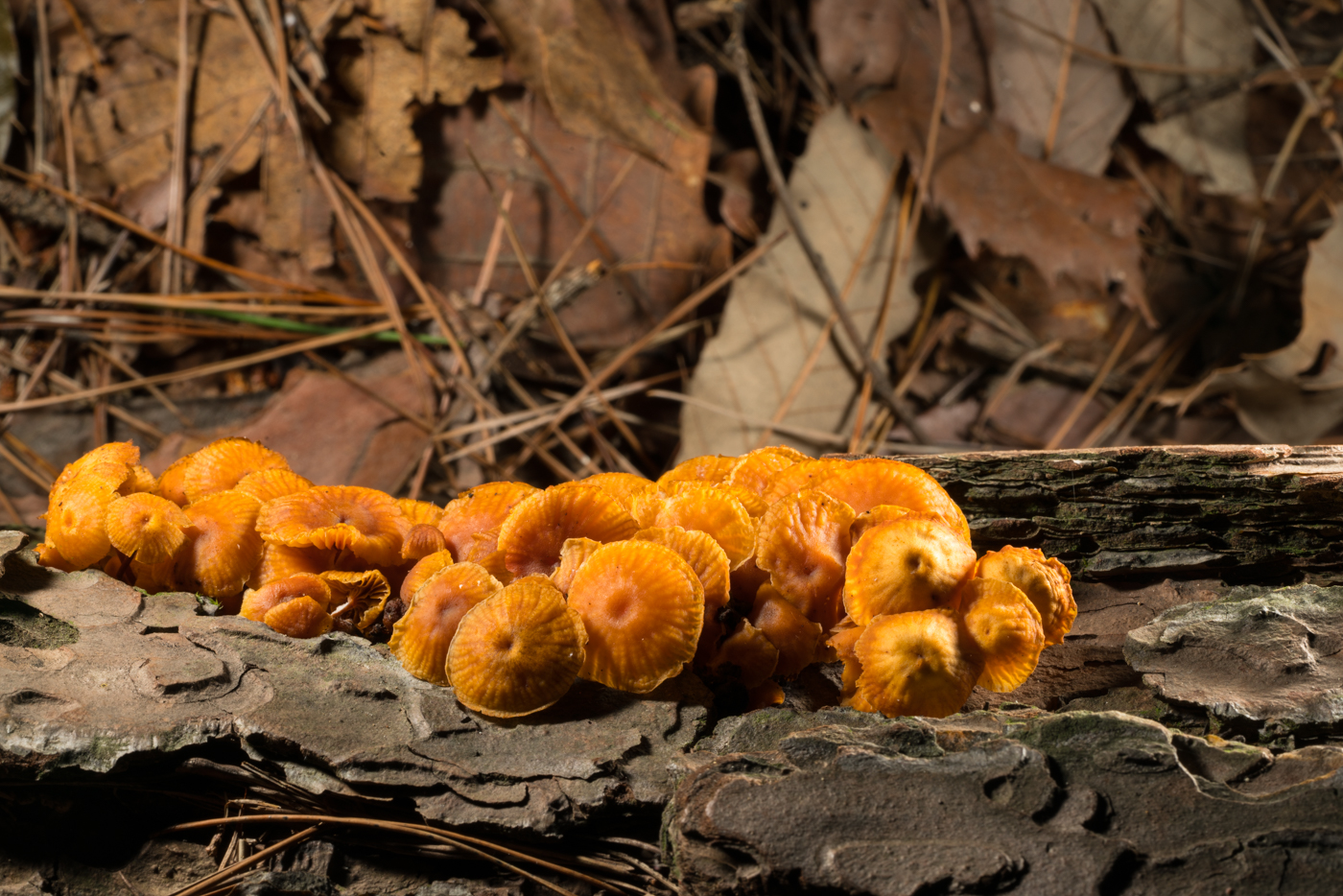 YDY08802.jpg