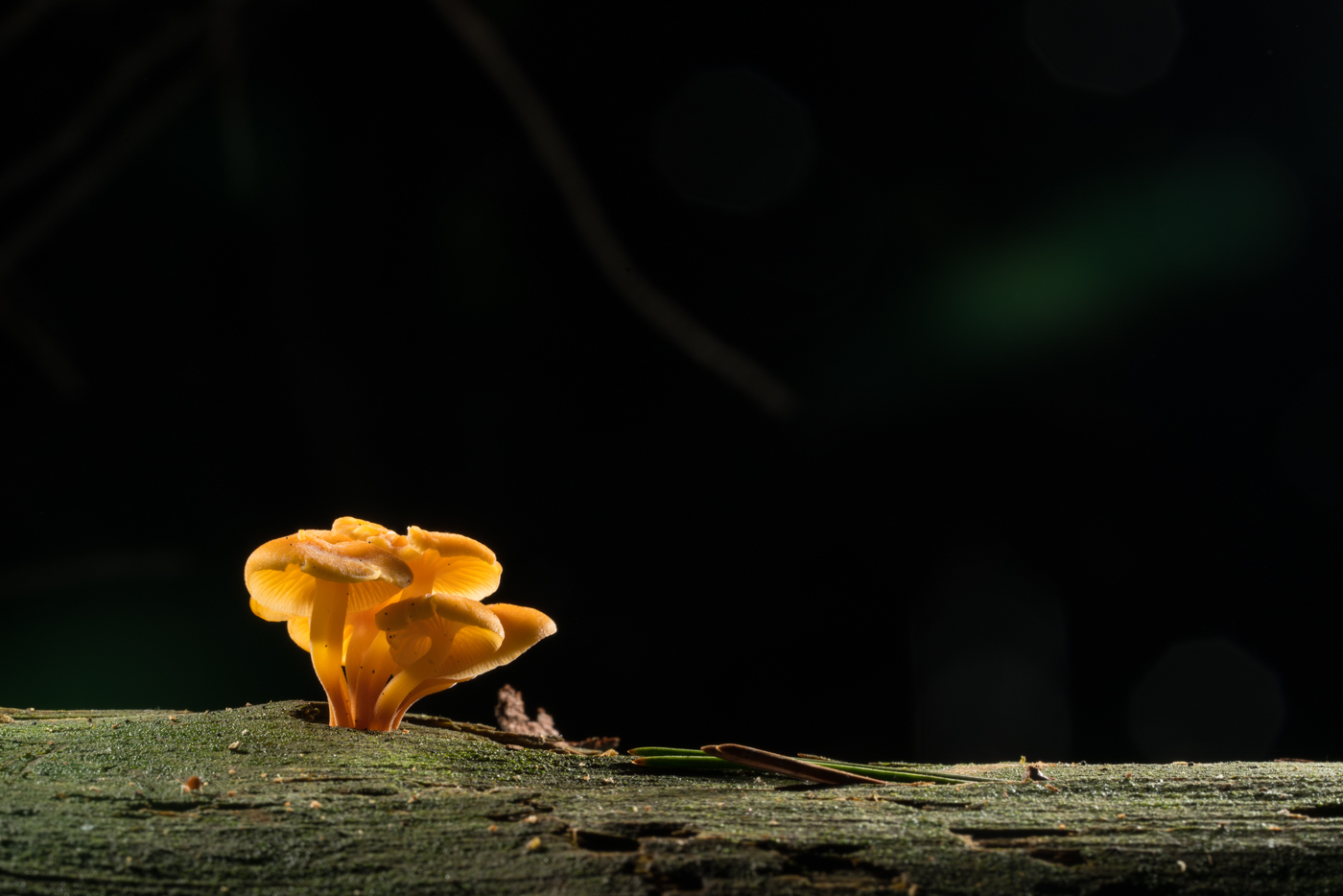 YDY08790.jpg