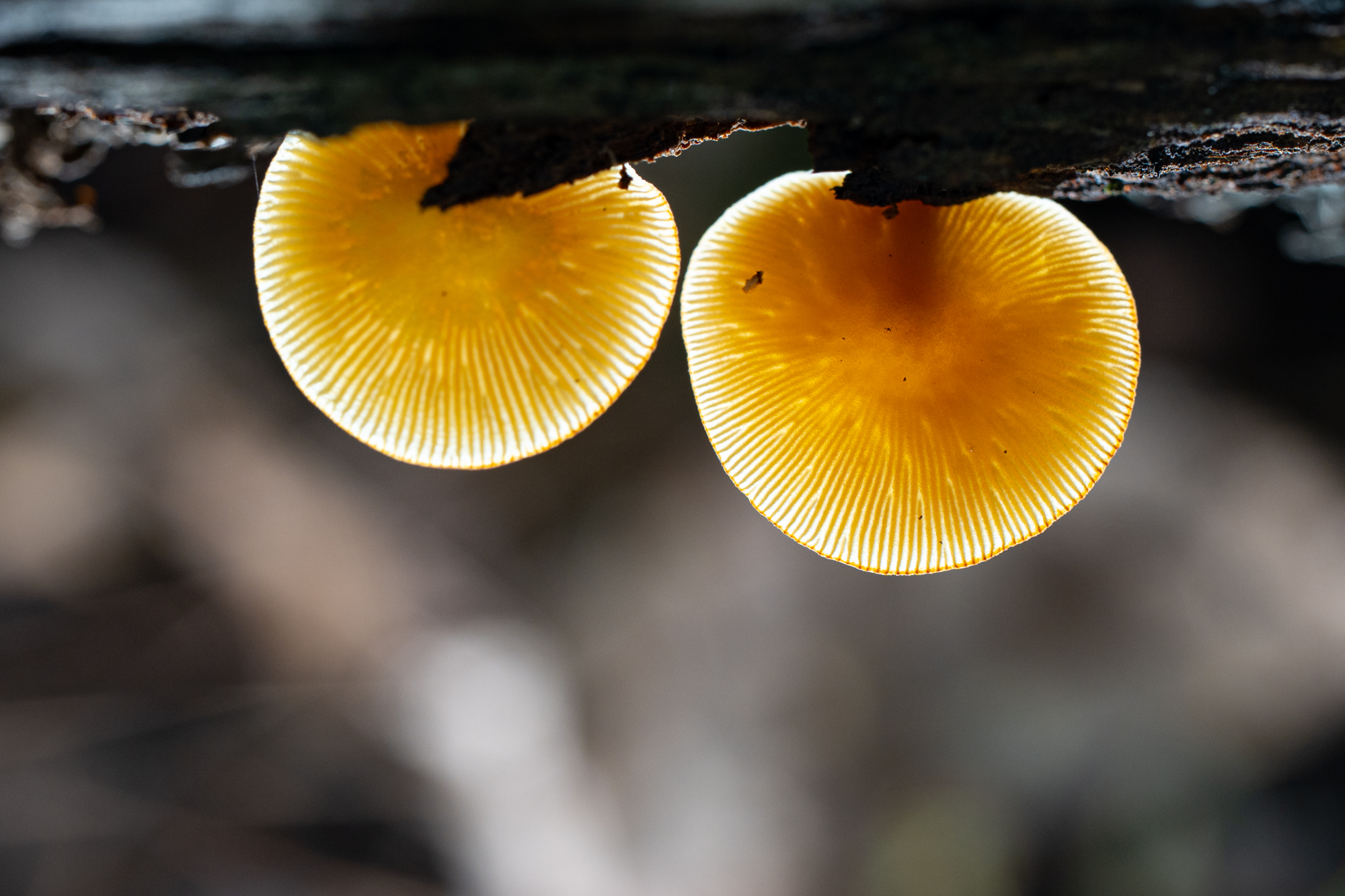 A9300151.JPG