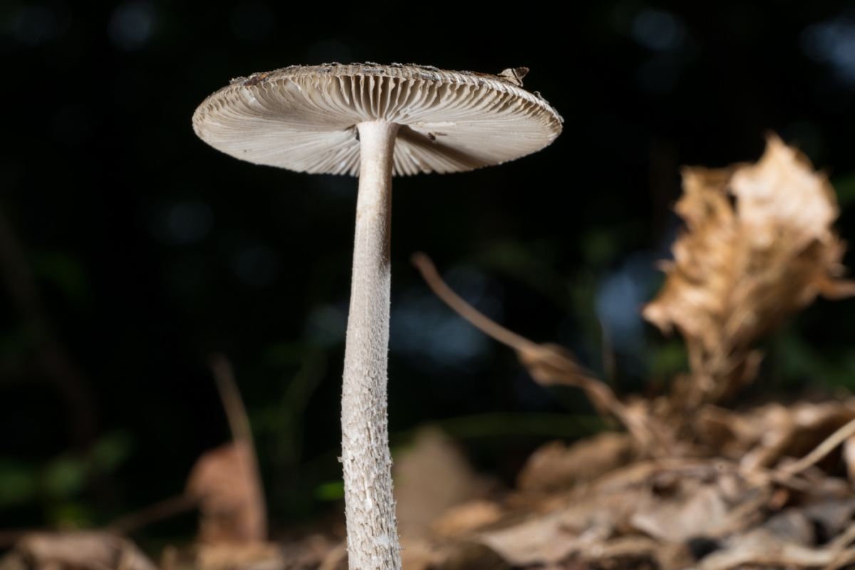 YDY05400.jpg