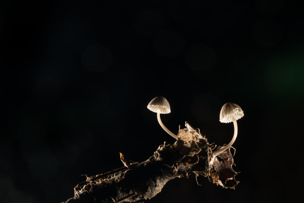 YDY08294.jpg