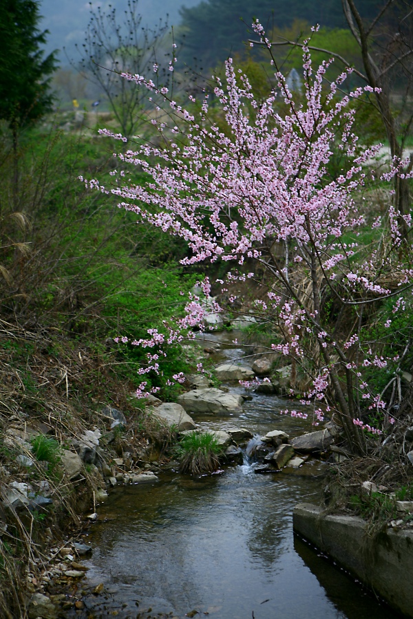 산복사img_5467.jpg