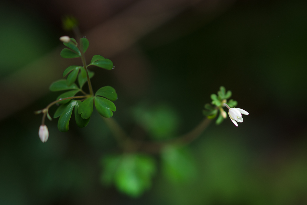 6e81e659f70516af3445964cc5c70a70.JPG
