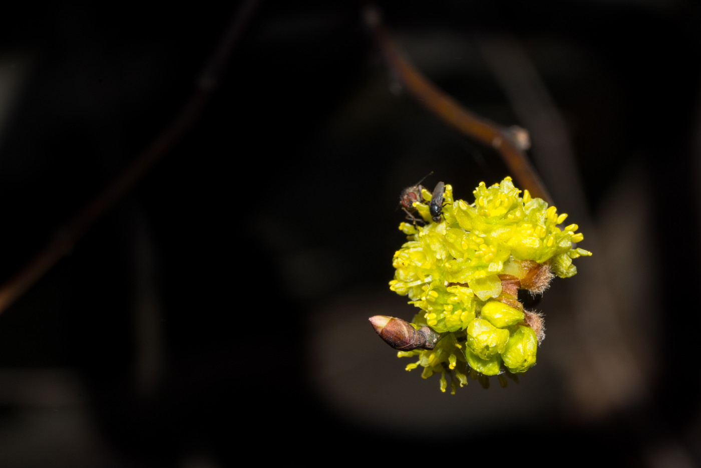 YDY05018.jpg