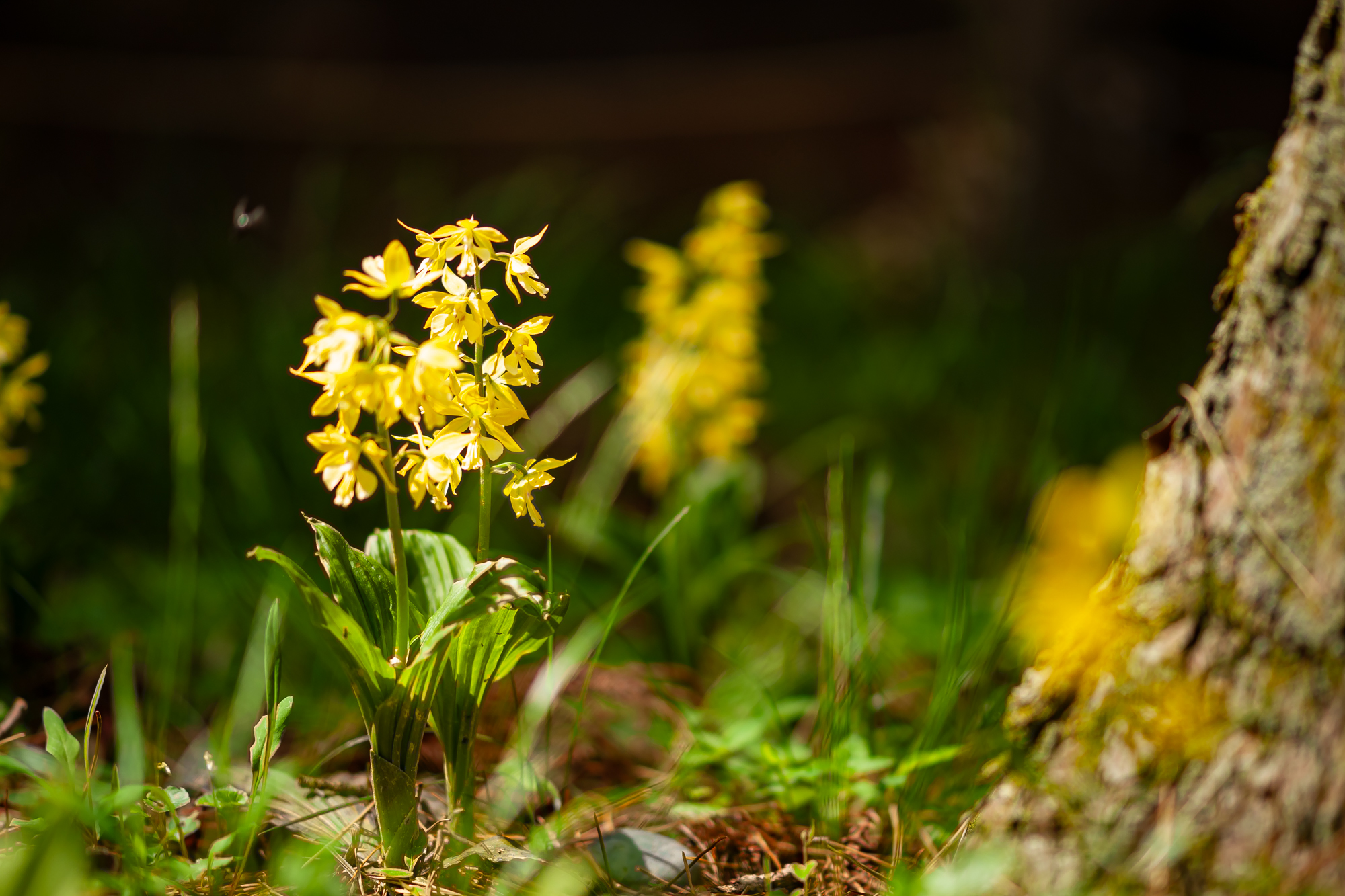 DSC04115.JPG