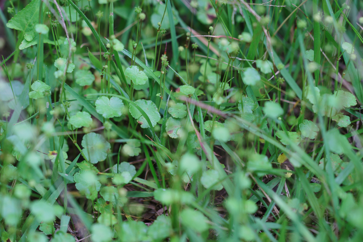 2bba103362d3bc1a8b50238cfa72aff2.JPG