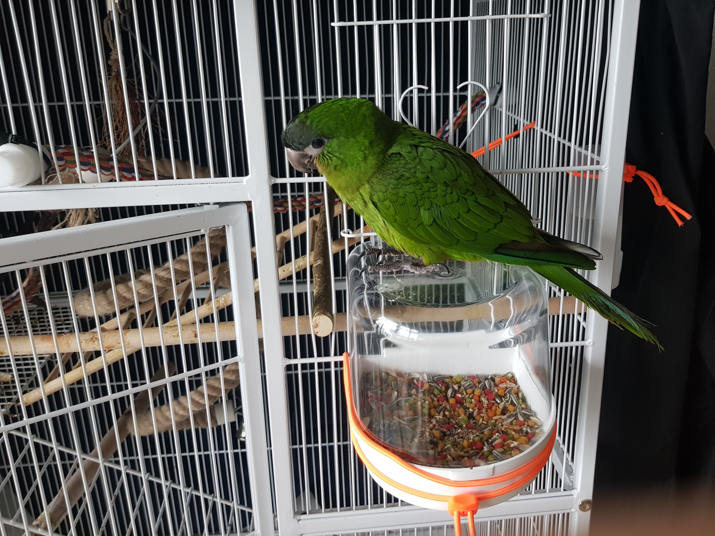 20190614_085447.jpg