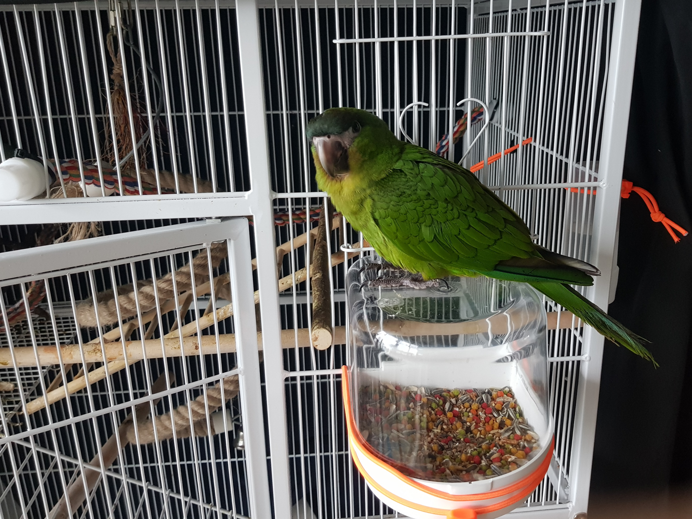 20190614_085449.jpg