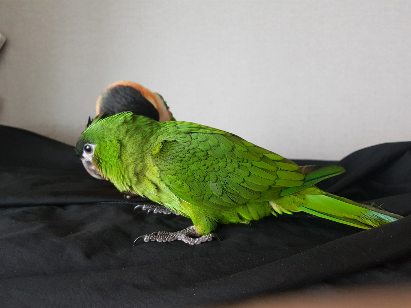 20190614_085412.jpg