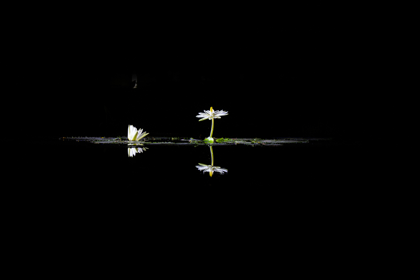 YDY00097.jpg