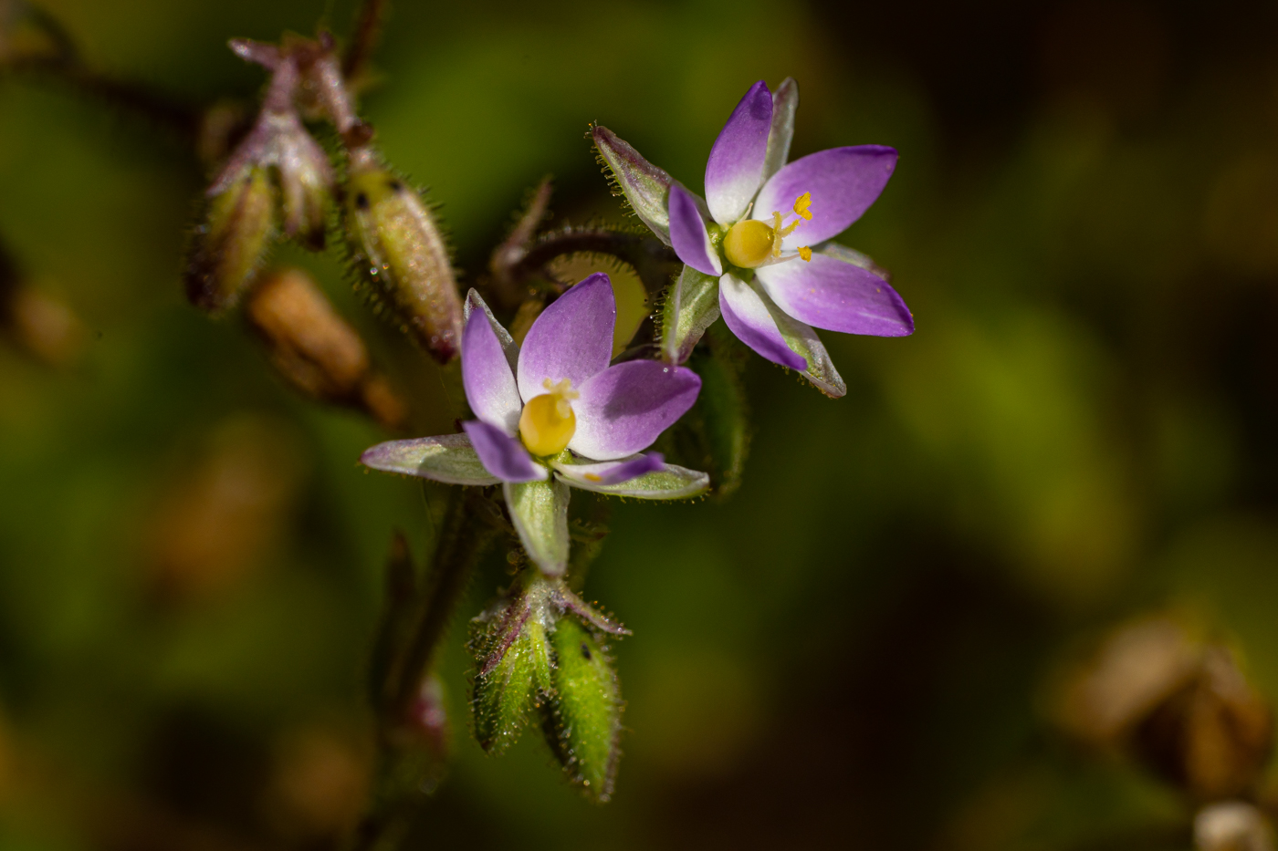 YDY01673.jpg