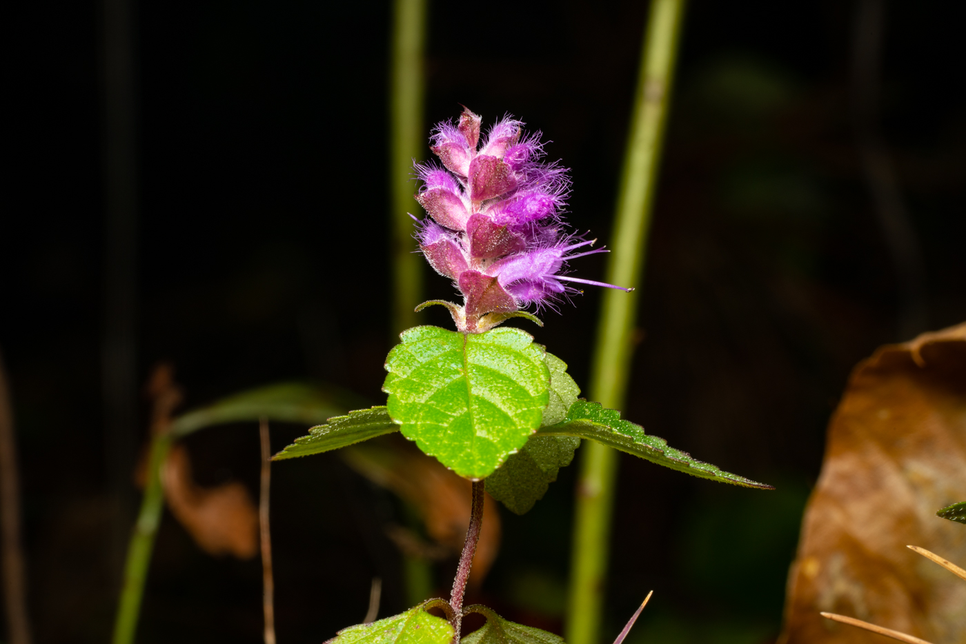 YDY01839.jpg