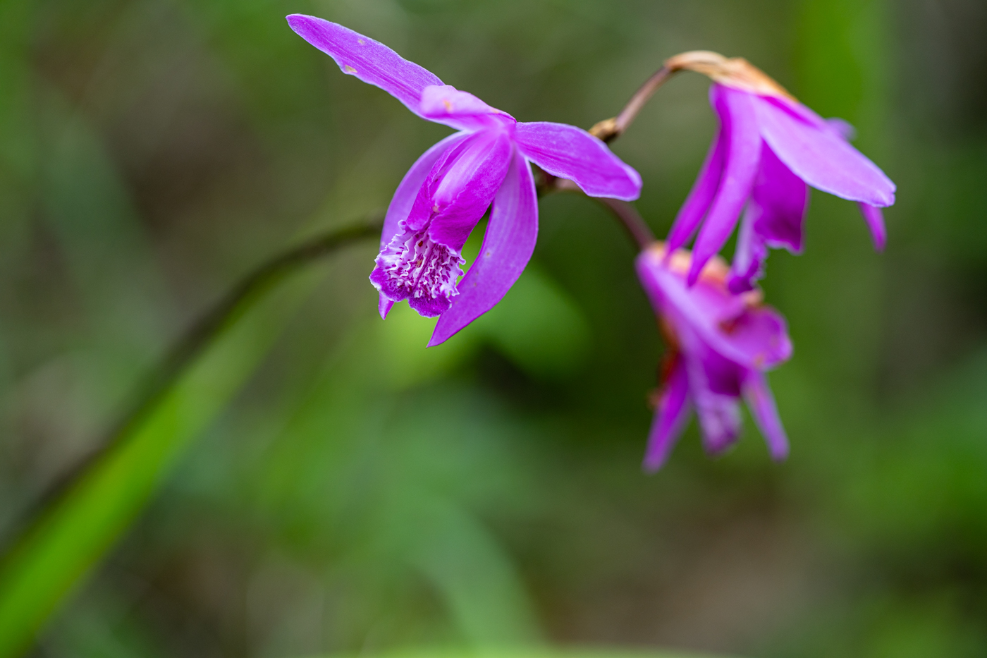 YDY00632.jpg