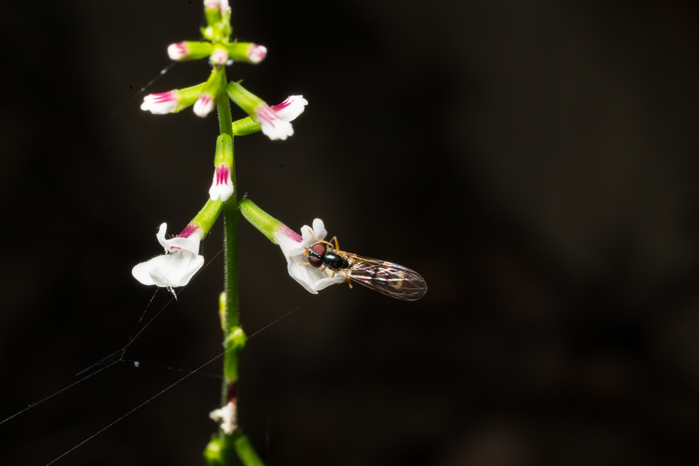 YDY09050.jpg