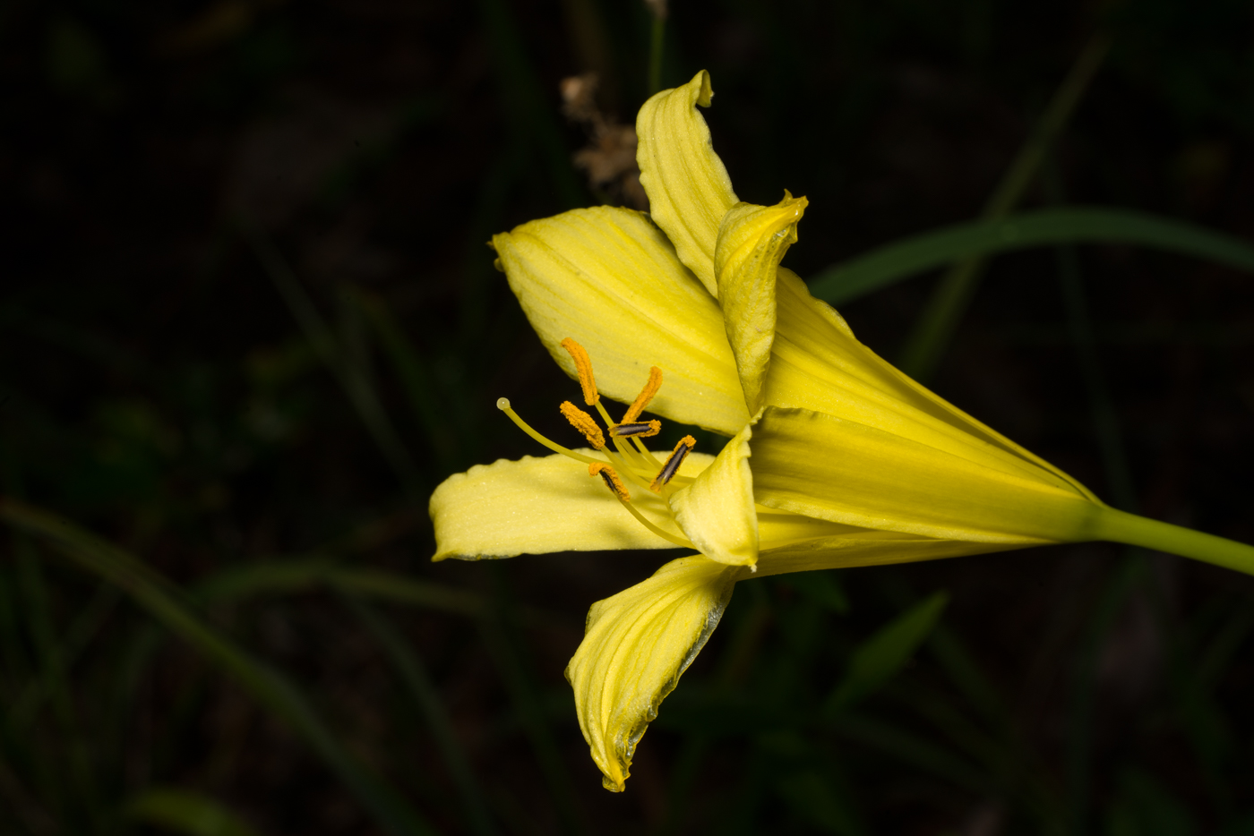 YDY09147.jpg