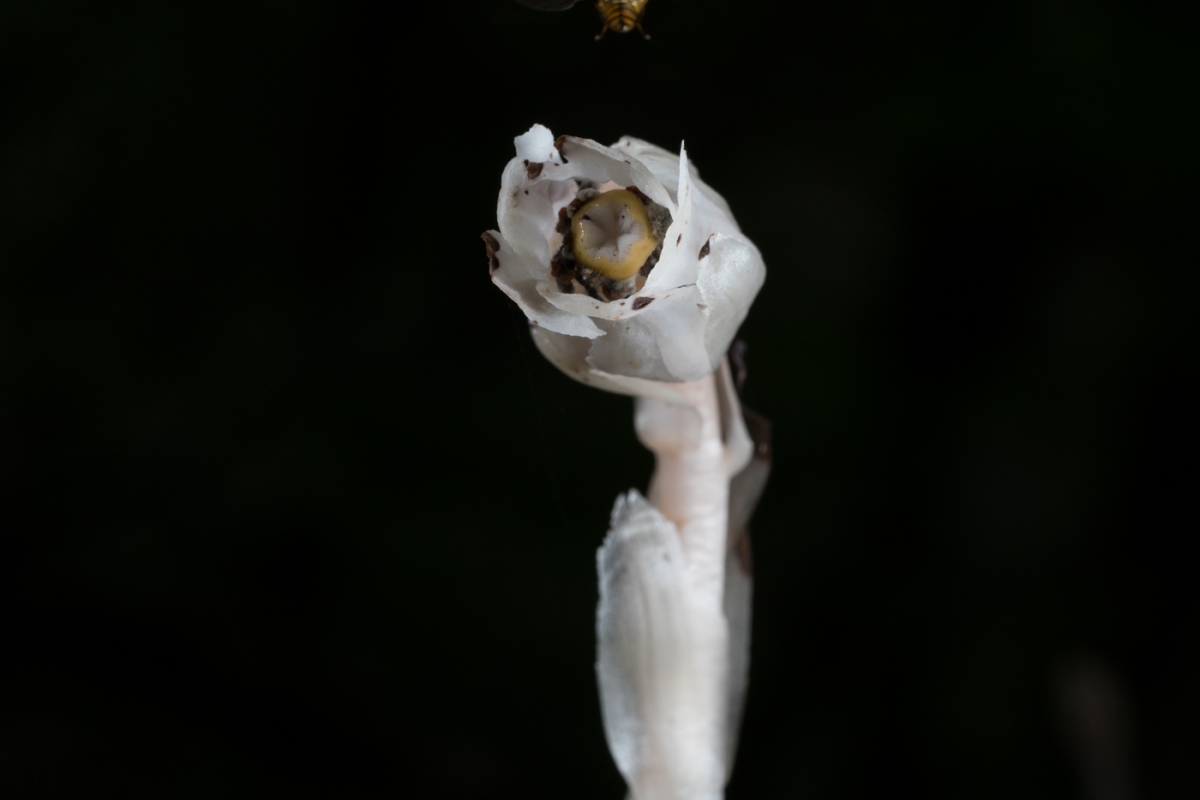 YDY06623.jpg