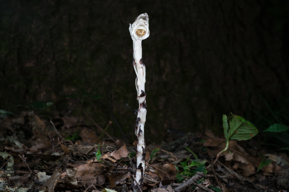 YDY06676.jpg