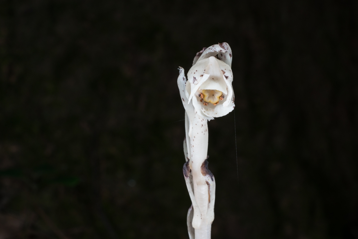 YDY06673.jpg