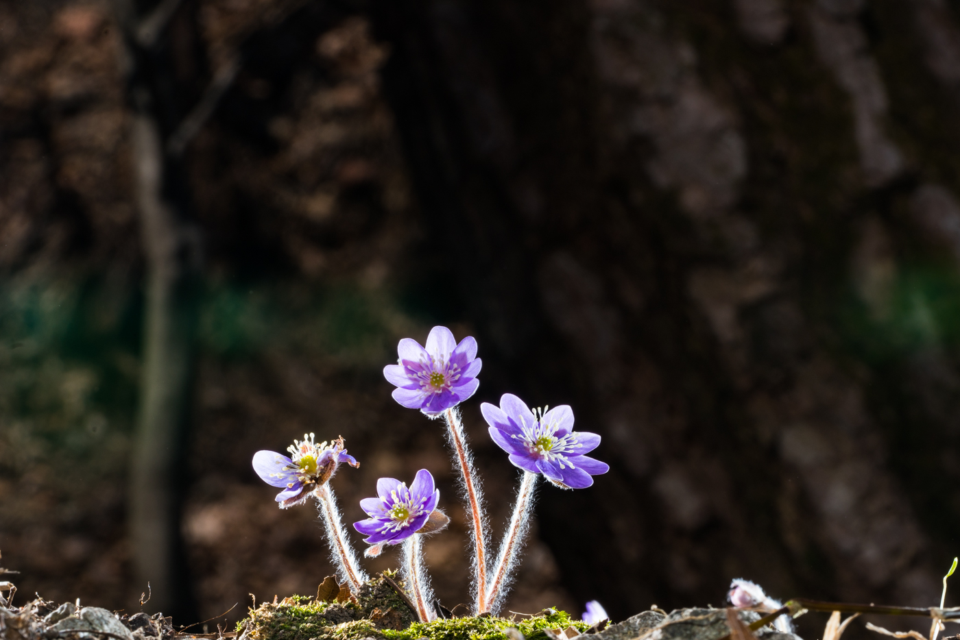 YDY05178.jpg
