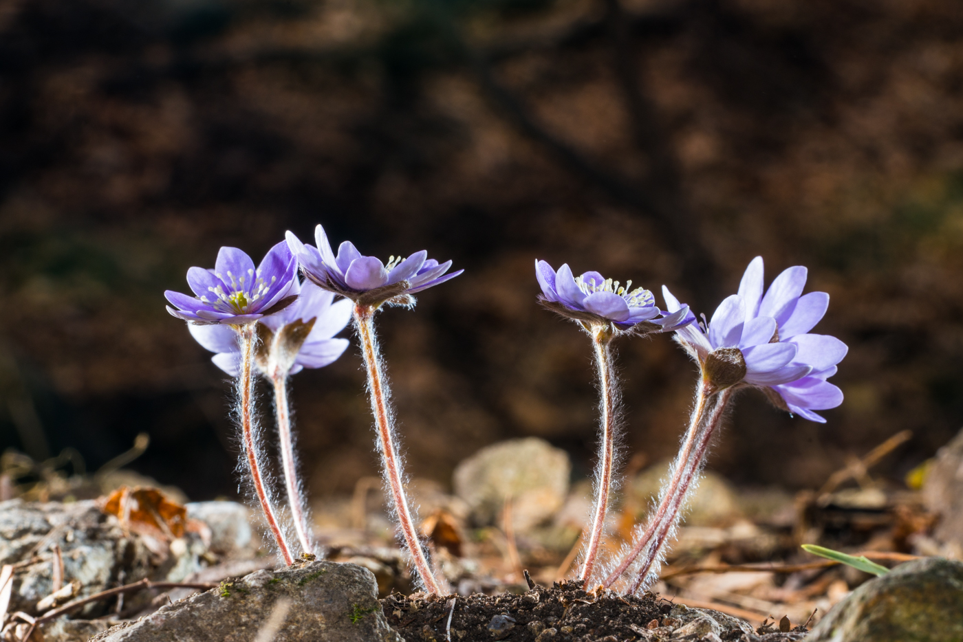 YDY05187.jpg