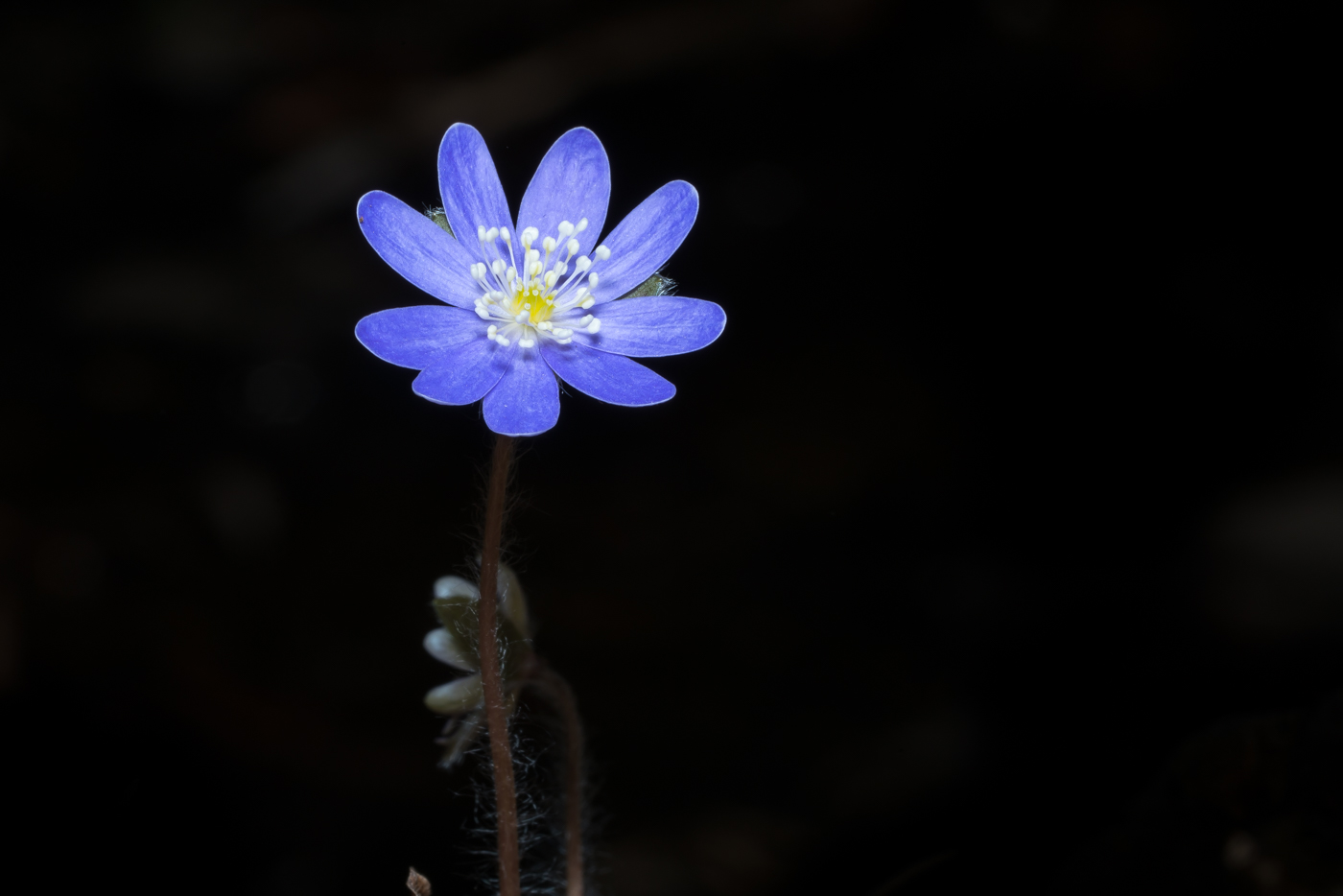 YDY04991.jpg