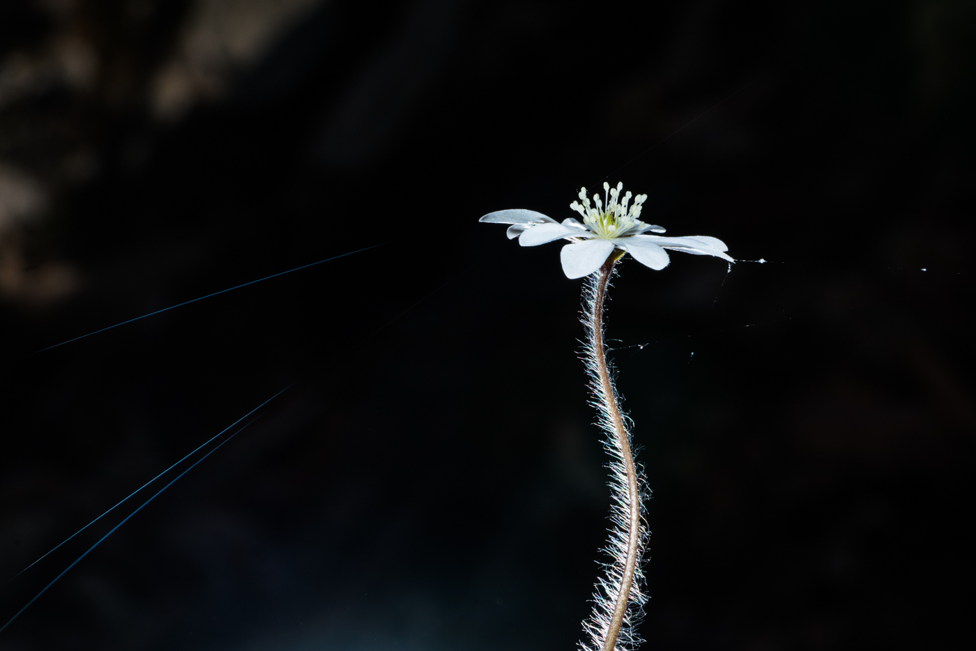 YDY05084.jpg