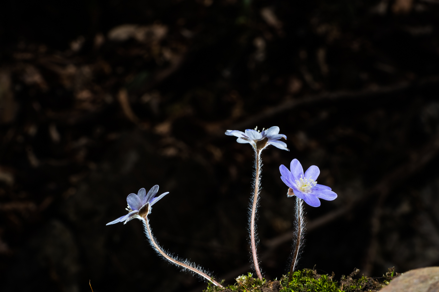 YDY05065.jpg